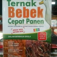 Ternak Bebek Cepat Panen